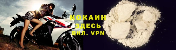 стаф Абинск