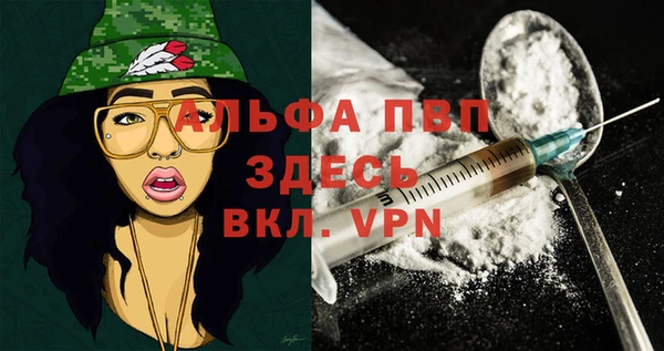 стаф Абинск