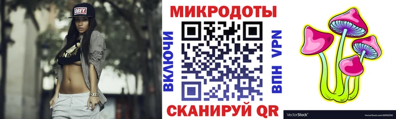 купить наркотик  Кимовск  Галлюциногенные грибы Psilocybe 